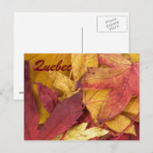 Quebec Autumn Leaves Postcard Postkarte (Vorne/Hinten)
