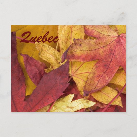 Quebec Autumn Leaves Postcard Postkarte (Vorderseite)