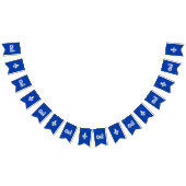 QUEBEC OUI WIMPELKETTE (Alle)