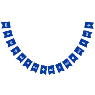 QUEBEC OUI WIMPELKETTE