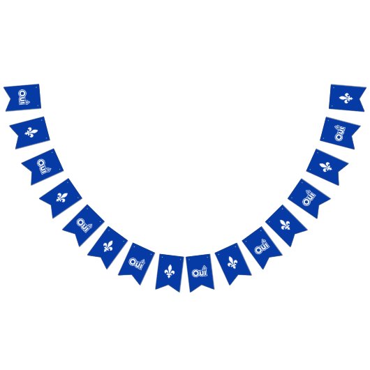 QUEBEC OUI WIMPELKETTE (Alle)