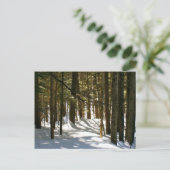 Quechee, VT Postkarte (Stehend Vorderseite)