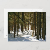 Quechee, VT Postkarte (Vorne/Hinten)