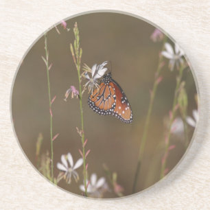 Quee-Schmetterling und Milchkweed Getränkeuntersetzer