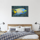 Queen Angelfish Leinwanddruck (Insitu (Schlafzimmer))