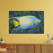Queen Angelfish Leinwanddruck (Insitu (Wohnzimmer))