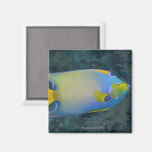 Queen Angelfish Magnet (Vorderseite/Rückseite)