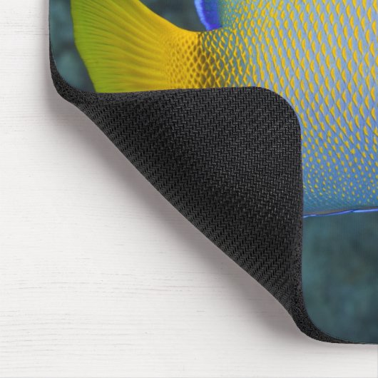 Queen Angelfish Mousepad (Ecke)