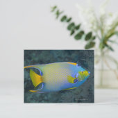 Queen Angelfish Postkarte (Stehend Vorderseite)