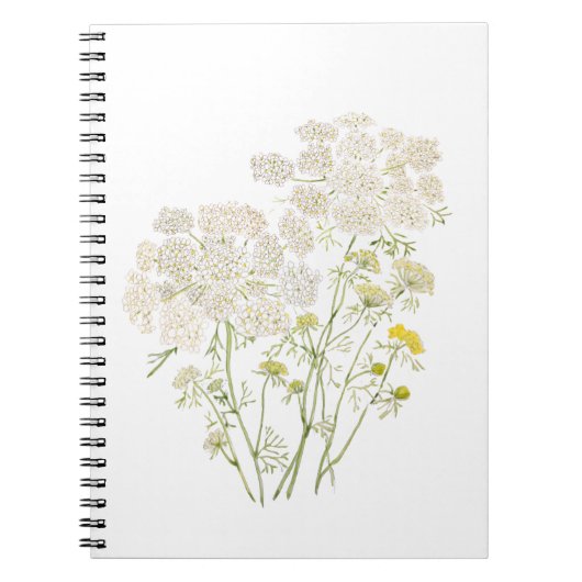 Queen Ann Lace Tinte und Aquarellmalerei Notizblock (Vorderseite)