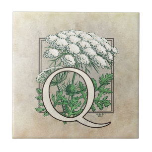 Queen Anne's Lace Blume Floral Monogram Fliese