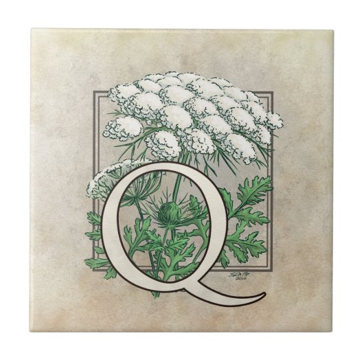Queen Anne's Lace Blume Floral Monogram Fliese (Vorderseite)