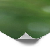 Queen Anne's Lace Blume Nature Poster 36" x 24" (Ecke)