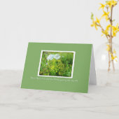 Queen Anne's Lace & Cow Parsnip Card auf Green Karte (Gelbe Blume)