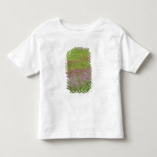 Queen Anne's Lace Daucus carota), die Kleinkind T-shirt