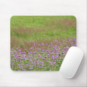 Queen Anne's Lace Daucus carota), die Mousepad (Mit Mouse)