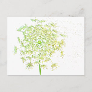 Queen Anne's Lace Geschenke und Favoriten Postkarte