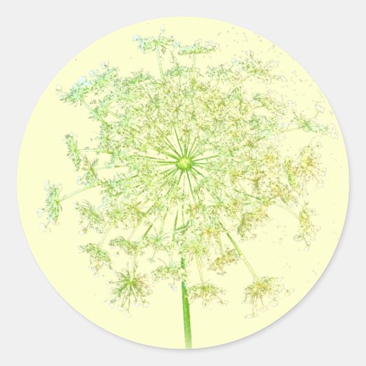 Queen Anne's Lace Geschenke und Favoriten Runder Aufkleber (Vorderseite)