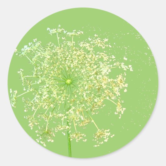 Queen Anne's Lace Geschenke und Favoriten Runder Aufkleber (Vorderseite)