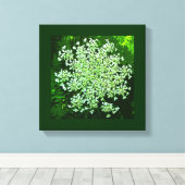 Queen Annes Lace Leinwanddruck (Insitu (Holzboden))