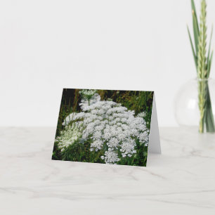 Queen Anne's Lace Note Card Feiertagskarte