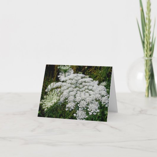 Queen Anne's Lace Note Card Feiertagskarte (Vorderseite)