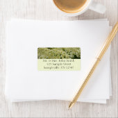 Queen Anne's Lace Wildblume Foto Adressaufkleber (Insitu)