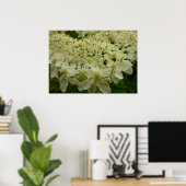 Queen Anne's Lace Wildblume Foto Poster (Heimbüro)