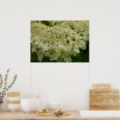 Queen Anne's Lace Wildblume Foto Poster (Küche)