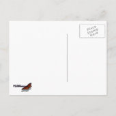 Queen Anne's Lace Wildblume Foto Postkarte (Rückseite)