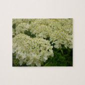 Queen Anne's Lace Wildblume Foto Puzzle (Horizontal)