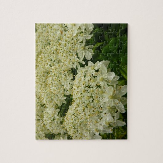 Queen Anne's Lace Wildblume Foto Puzzle (Vertikal)