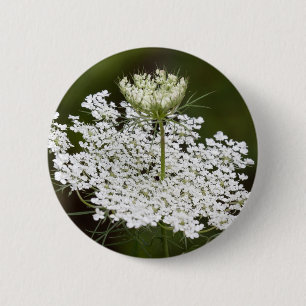 Queen Ann's Lace Button