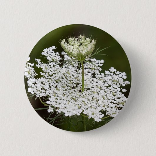Queen Ann's Lace Button (Vorderseite)