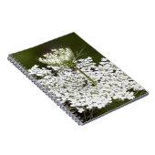 Queen Ann's Lace Notizblock (Rechte Seite)