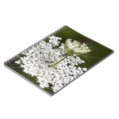 Queen Ann's Lace Notizblock (Linke Seite)