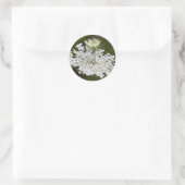 Queen Ann's Lace Runder Aufkleber (Tasche)