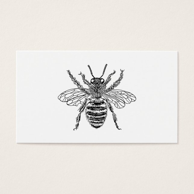Queen Bee (Vorderseite)