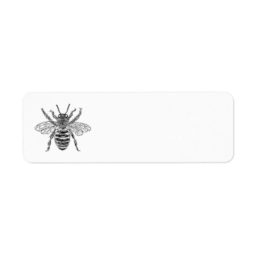 Queen Bee (Vorne)