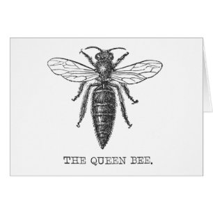 Queen Bee Bug Insect Antike Illustration
