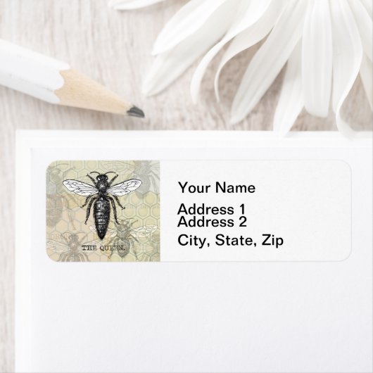 Queen Bee Bug Insect Antike Illustration (Insitu)