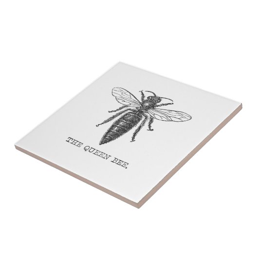 Queen Bee Bug Insect Antike Illustration Fliese (Seite)