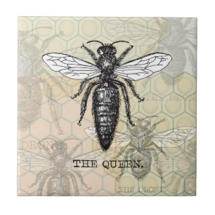 Queen Bee Bug Insect Antike Illustration Fliese