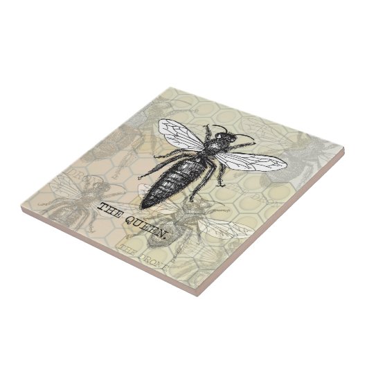 Queen Bee Bug Insect Antike Illustration Fliese (Seite)