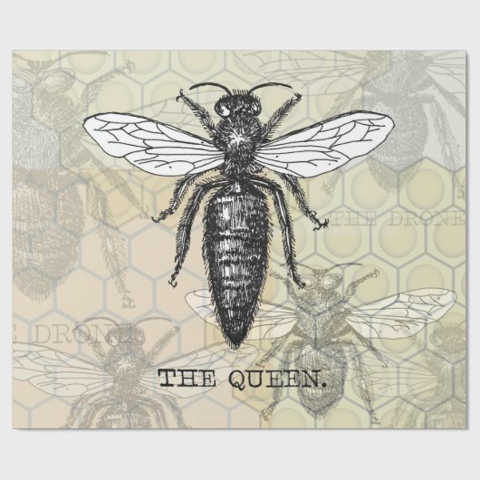 Queen Bee Bug Insect Antike Illustration Geschenkpapier (Flach)