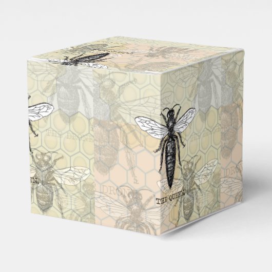 Queen Bee Bug Insect Antike Illustration Geschenkschachtel (Vorderseite)