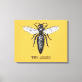 Queen Bee Bug Insect Antike Illustration Leinwanddruck (Vorderseite)
