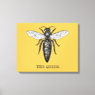 Queen Bee Bug Insect Antike Illustration Leinwanddruck