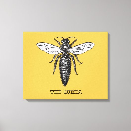 Queen Bee Bug Insect Antike Illustration Leinwanddruck (Vorderseite)