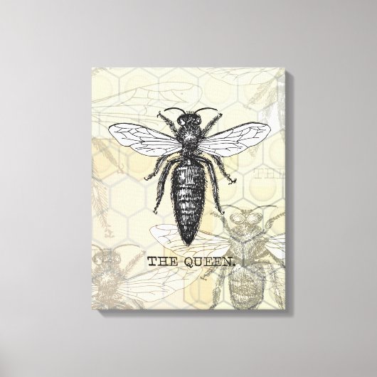 Queen Bee Bug Insect Antike Illustration Leinwanddruck (Vorderseite)
